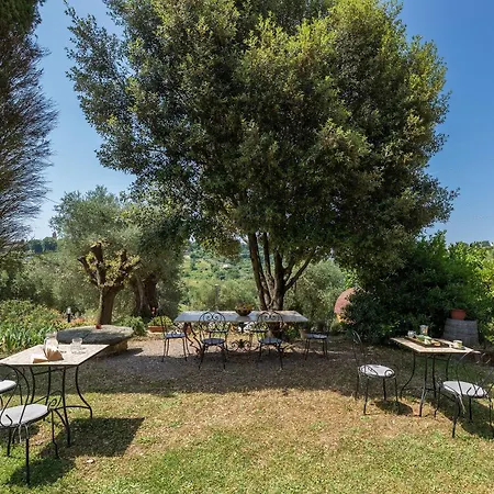 Montebello Degli Olivi *